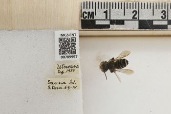 Media type: image;   Entomology 789957 Aspect: Labels